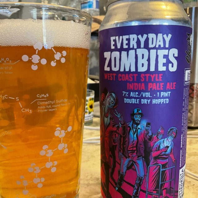 Everyday Zombies Review